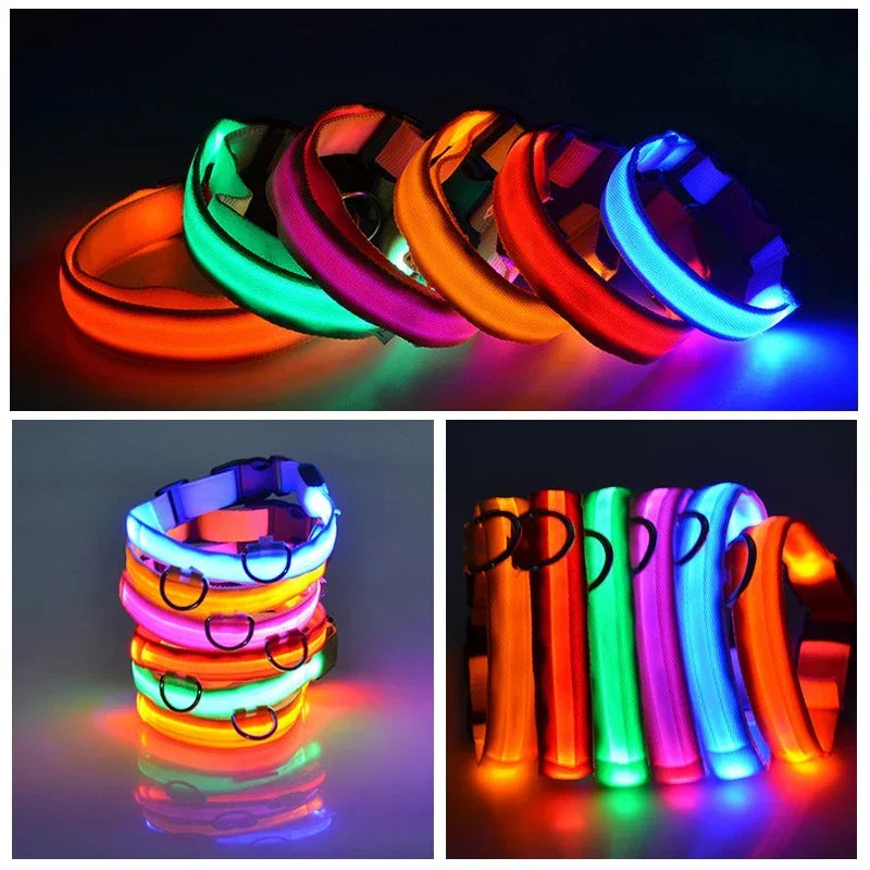 LED Dog Collar