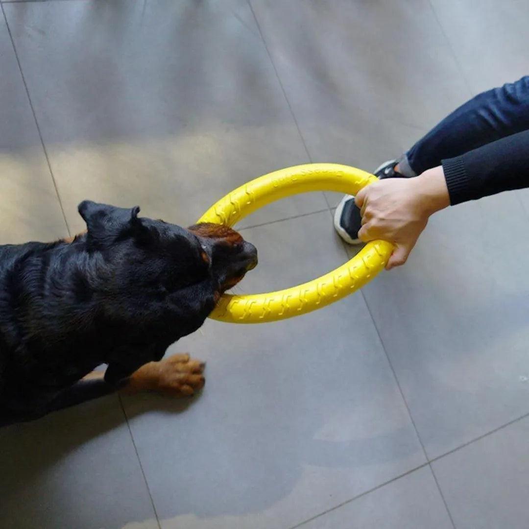 Ring Toy - BarkBrit