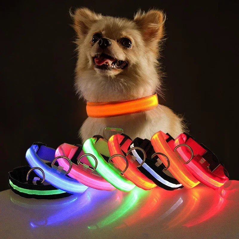 LED Dog Collar