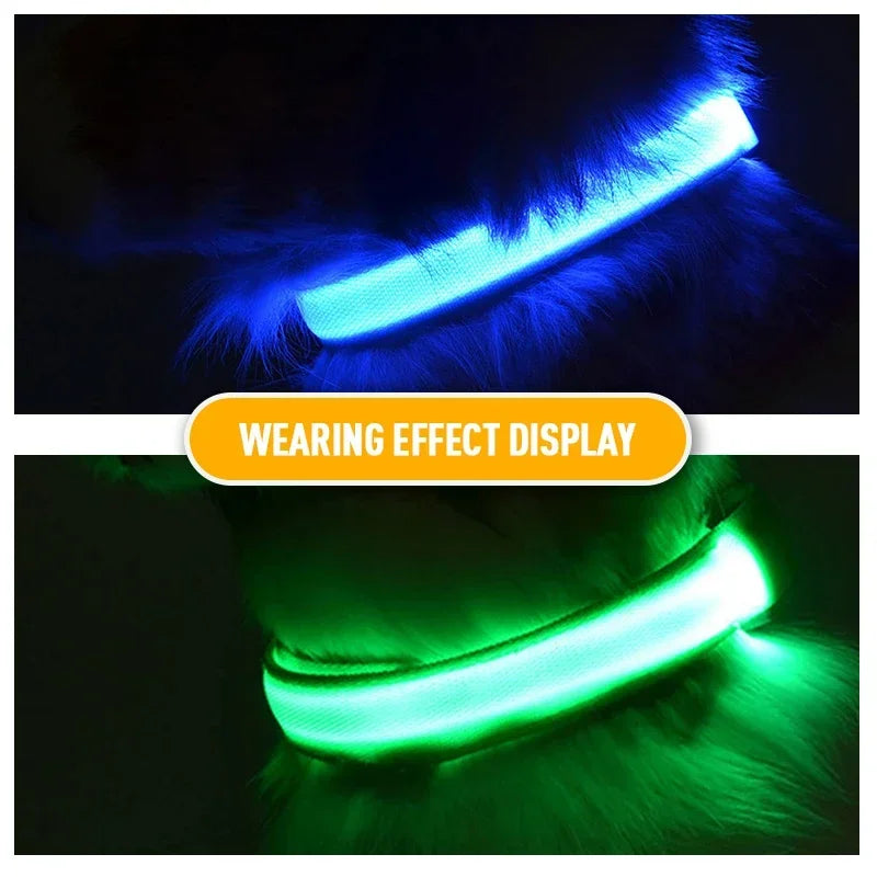 LED Dog Collar